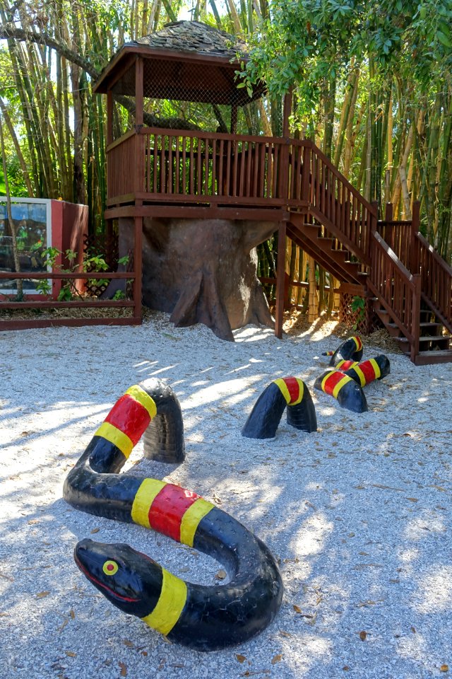 Play area - Sarasota Jungle Gardens - Sarasota, Florida - DSC02074
