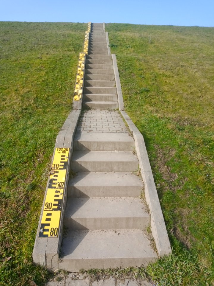 Polder Wörth Jockgrim Lattenpegel