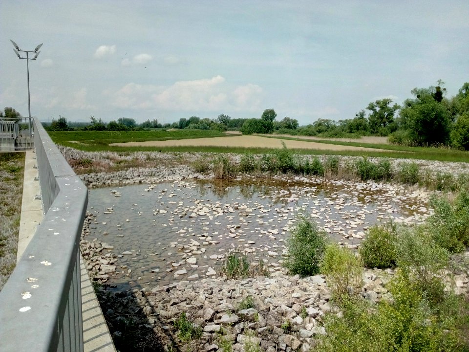 Polder Wörth-Jockgrim, Ein- & Auslassbauwerk, Kolksee (4)