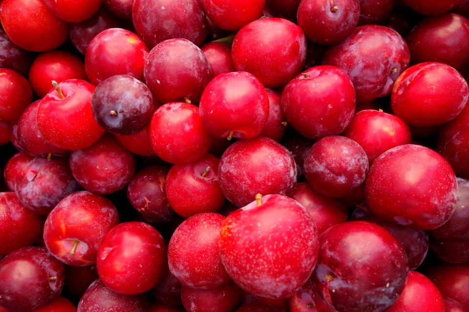 Plums - Farmer's Market at the Ferry Building - San Francisco, CA - DSC03607