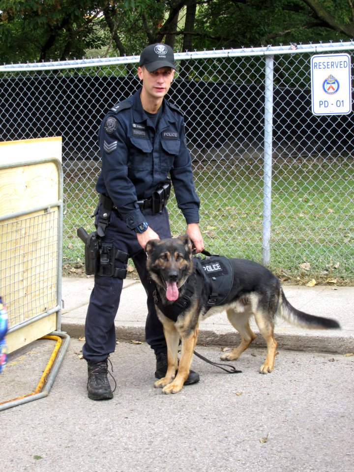 Police Dog at Toronto Open House 02