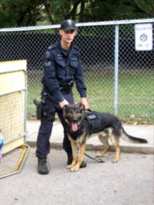 Police Dog at Toronto Open House 02 photo