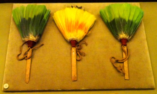 Plumes, probably Chan Chan, amazona parrot tail feathers and paradise tanager feathers - Chimu objects in the American Museum of Natural History - DSC06131 photo