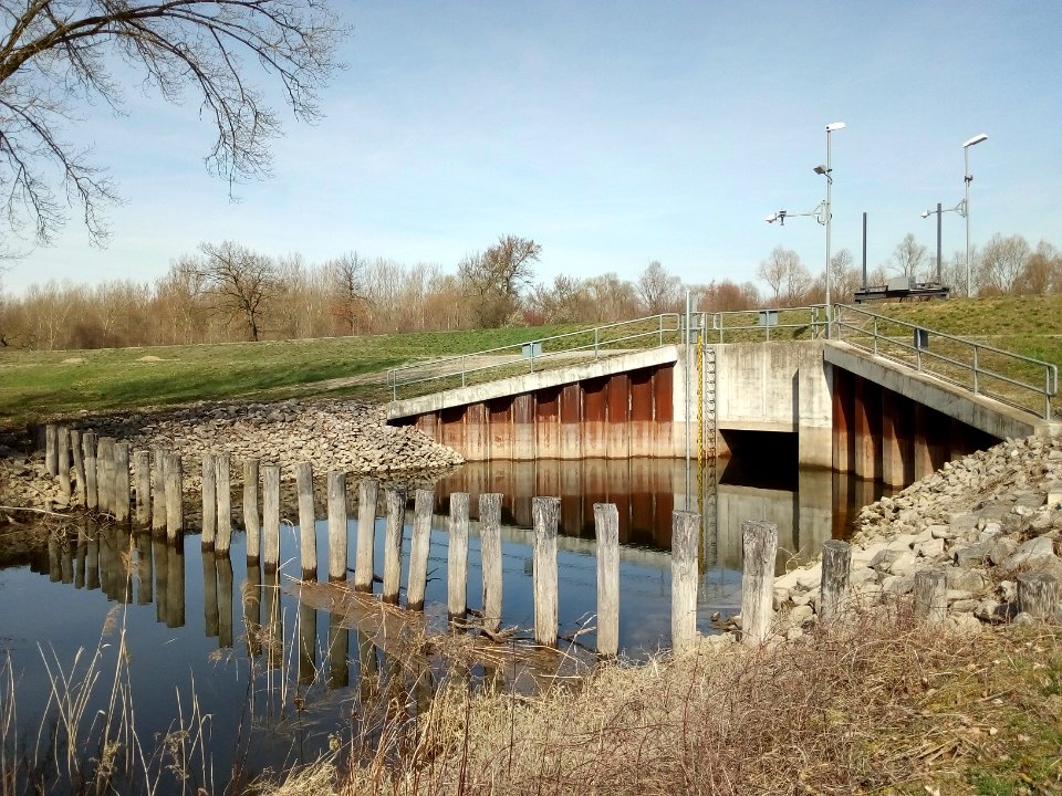 Polder Rheinschanzinsel, Auenschleuse am Abzugsgraben