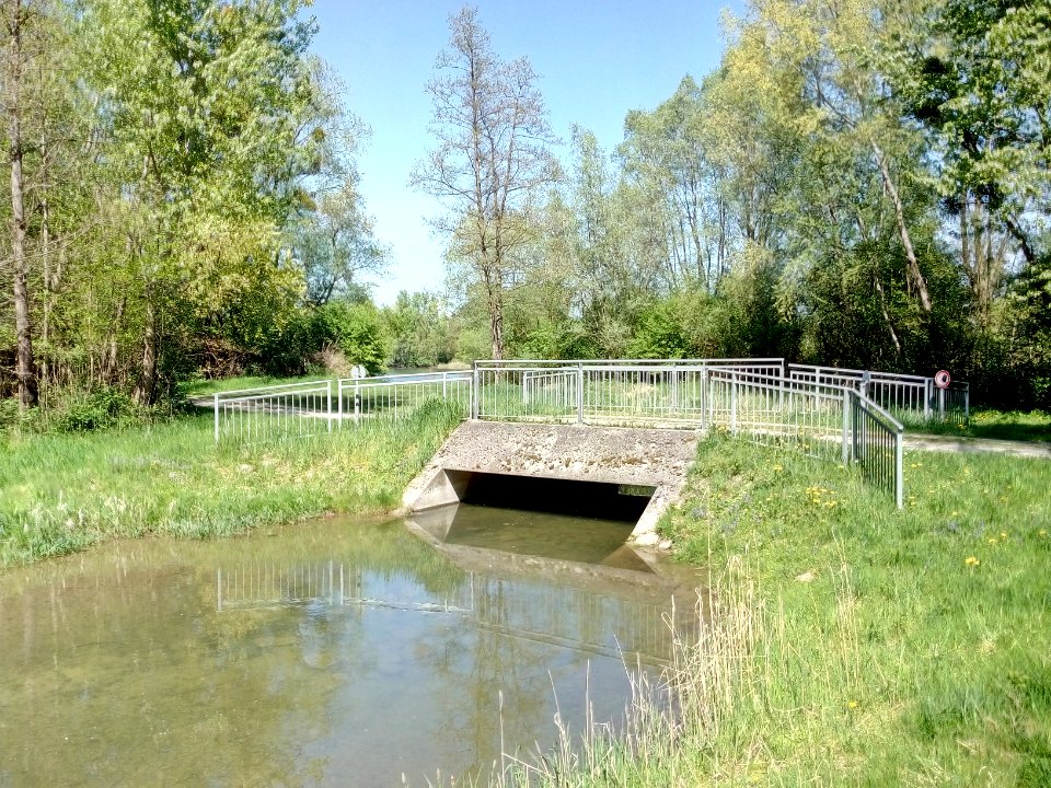 Polder Söllingen-Greffern, Schlute Korbmachergrund Ost, Brücke