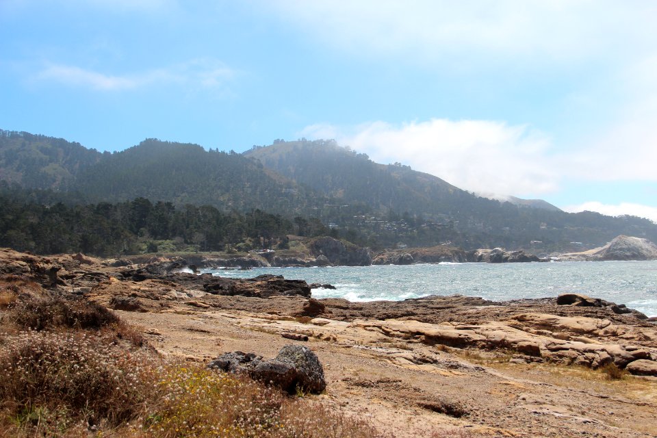 Point Lobos State Reserve August 2019 (42)