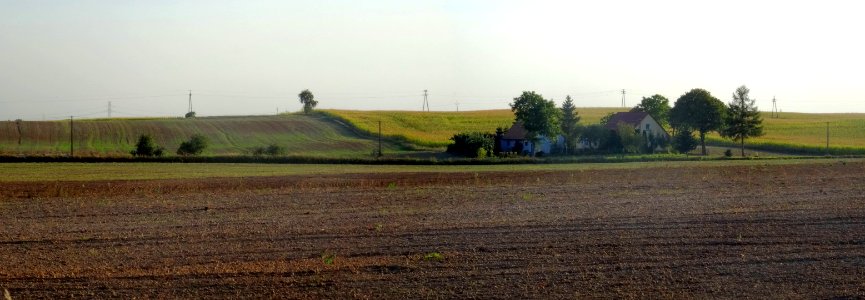Poj Krajenskie koło Sicienka