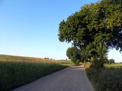 Poj Kraj k Sicienka11