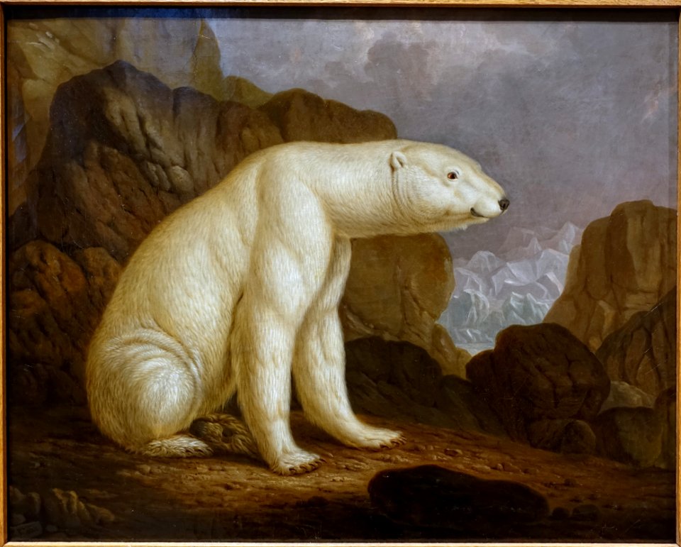Polar bear by Christian Wilhelm Kehrer, 1820, oil on canvas - Hessisches Landesmuseum Darmstadt - Darmstadt, Germany - DSC00082