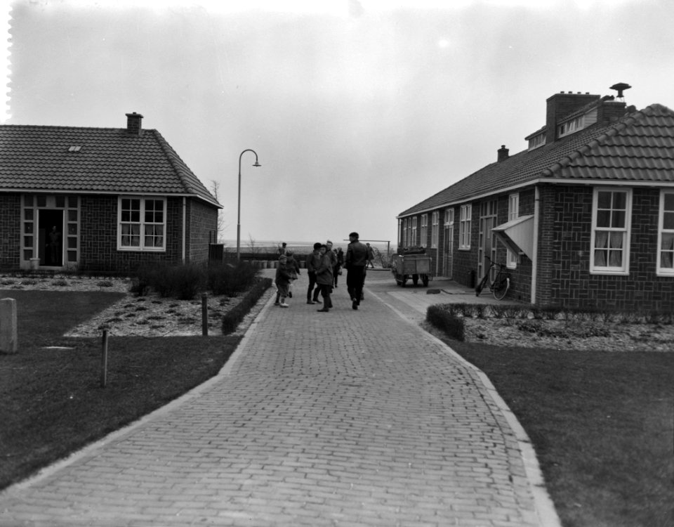 Polder oostelijk Flevoland is aan het droogvallen, Bestanddeelnr 909-4891