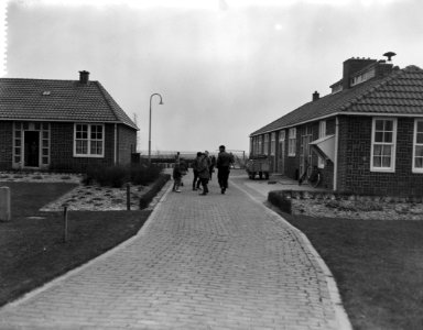 Polder oostelijk Flevoland is aan het droogvallen, Bestanddeelnr 909-4891
