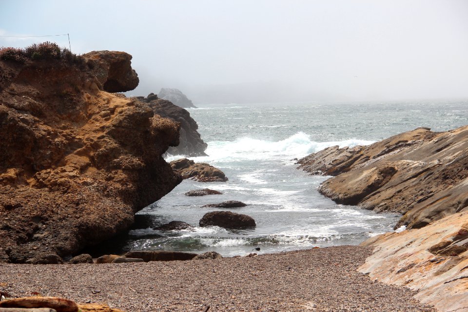 Point Lobos State Reserve August 2019 (44)
