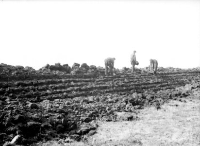Polders, kanalen, dijken, De Wieren, Bestanddeelnr 192-0755