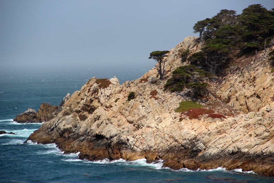 Point Lobos State Reserve August 2019 (2) w