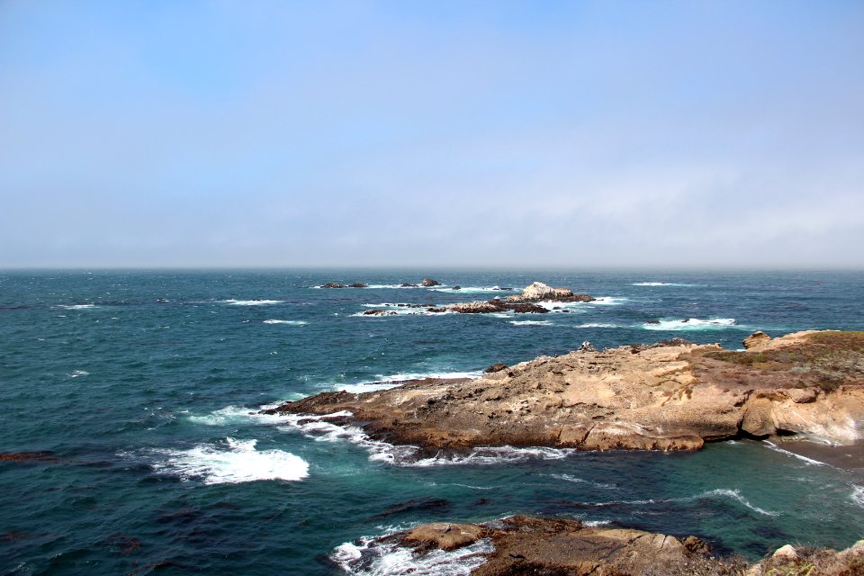 Point Lobos State Reserve August 2019 (14) w