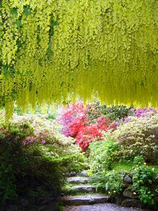 Poisonous arch national photo