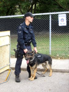 Police Dog at Toronto Open House 01 photo