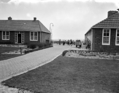 Polder oostelijk Flevoland is aan het droogvallen, Bestanddeelnr 909-4890