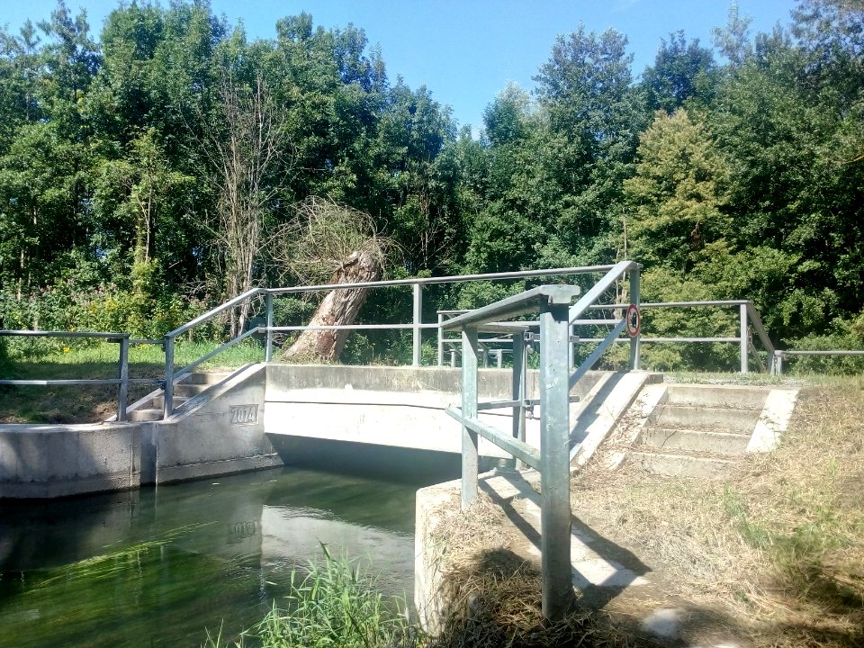 Polder Söllingen-Greffern, Altrheinarm Kirchhöfel, NSG Rheinknie Alter Kopfgrund