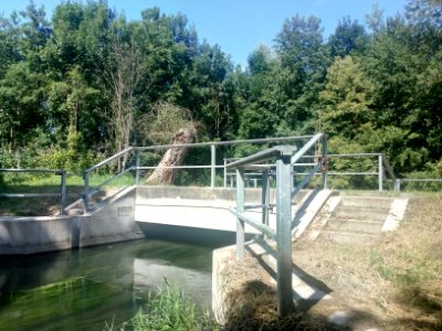 Polder Söllingen-Greffern, Altrheinarm Kirchhöfel, NSG Rheinknie Alter Kopfgrund