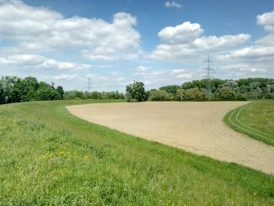 Polder Daxlander Au, Ackerfläche