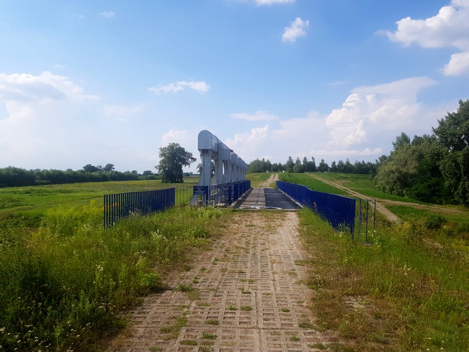 Polder Buków (2)