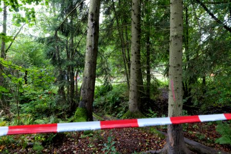 Police at Maulbach forest 2020-10-06 13