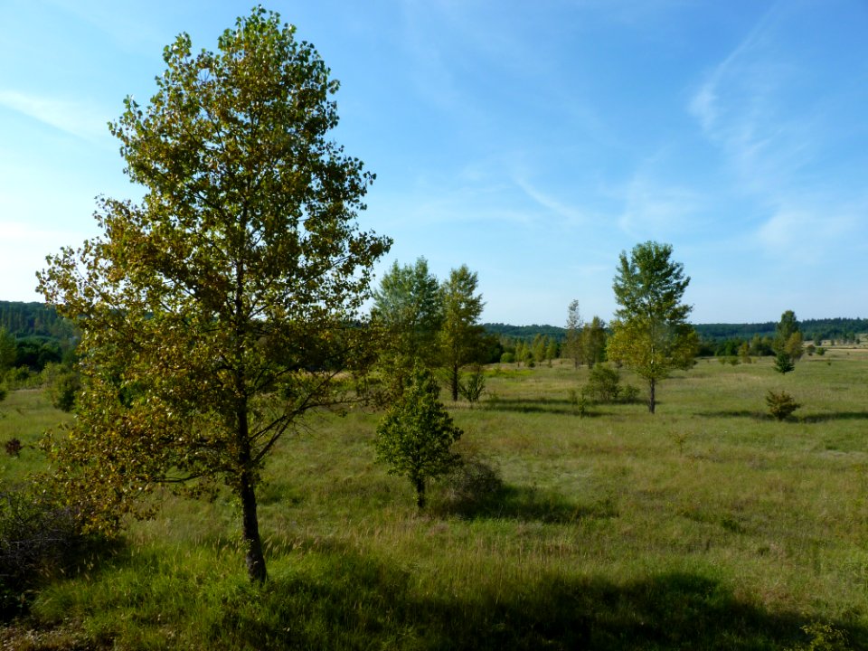 Pod Benateckym vrchem 05