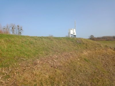 Polder Wörth Jockgrim Geschwemmselrand im ungesteuerten Teil nach Hochwasser Januar Februar 2021