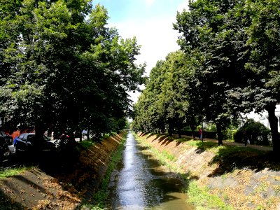 Poclos river, Tg. Mures (2)