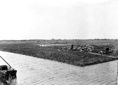 Polders, egaliseren, De Wieren, Bestanddeelnr 192-0757