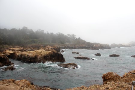 Point Lobos State Reserve around Weston Beach, August 2019 1