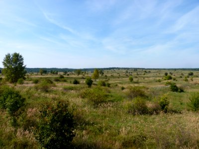 Pod Benateckym vrchem 01