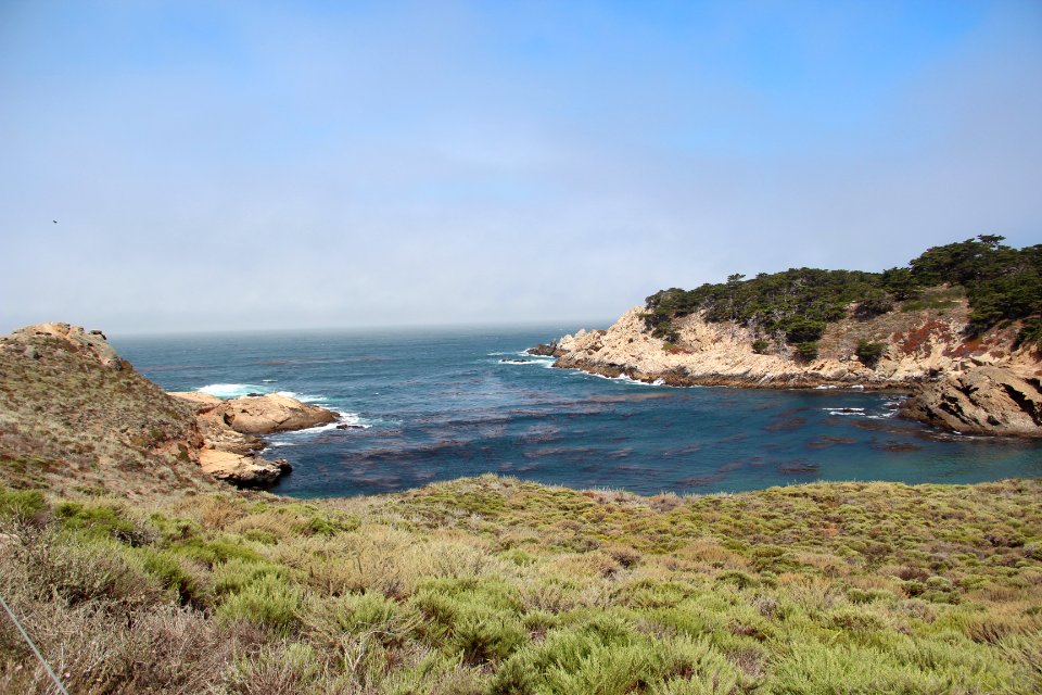Point Lobos State Reserve August 2019 (9) w
