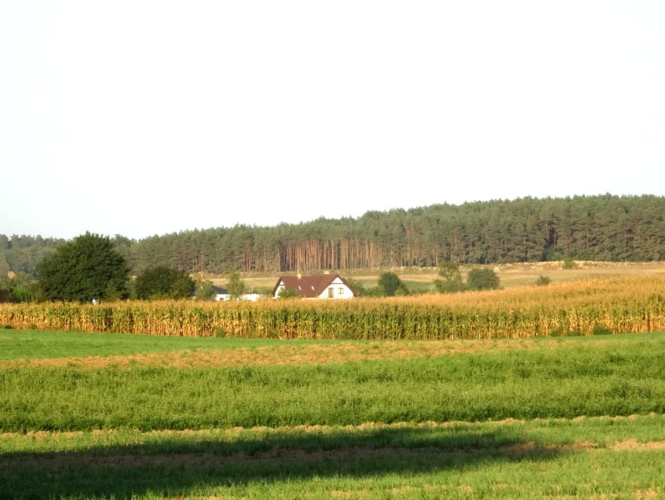 Poj Kraj k Sicienka14
