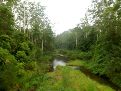 Pocket Road Crossing on Nerang River, Numinbah Valley, Queensland