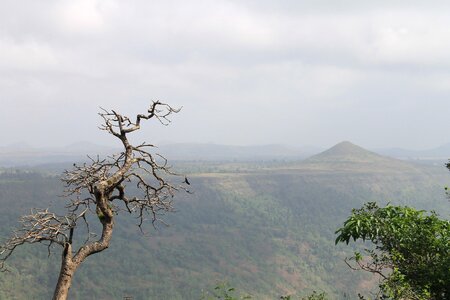 Hills nature scene