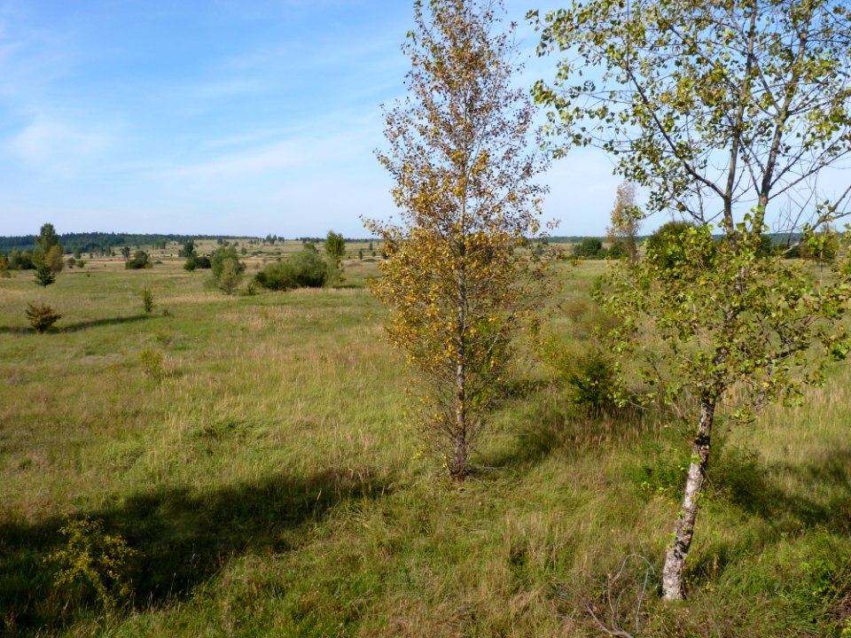 Pod Benateckym vrchem 06