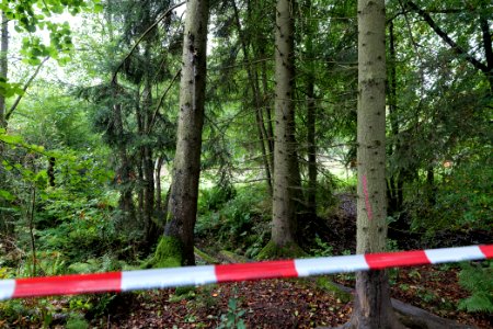 Police at Maulbach forest 2020-10-06 14