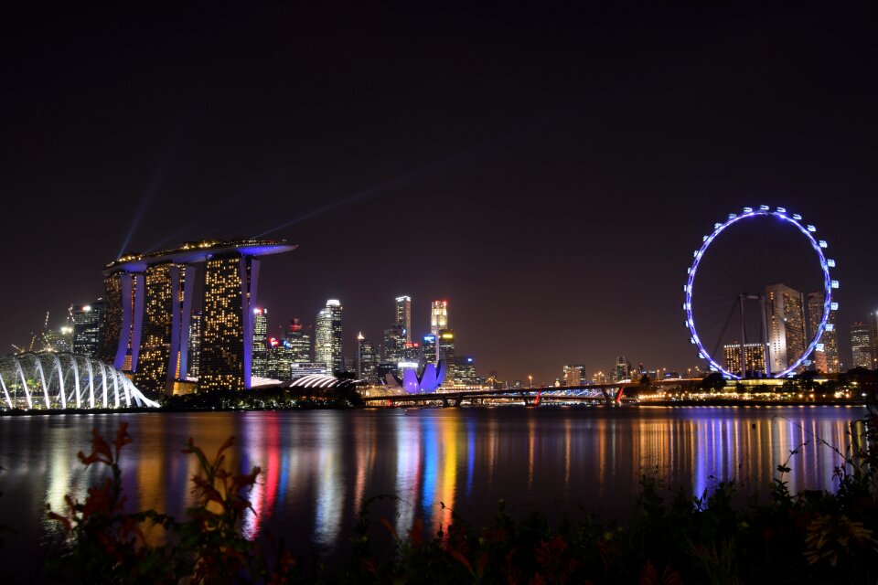 Singapore garden colorful photo