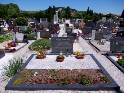 Pobrežje cemetery 10