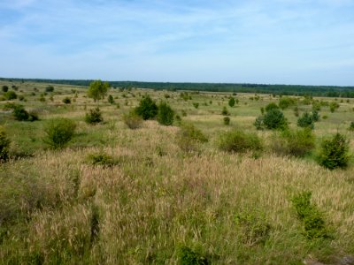 Pod Benateckym vrchem 02