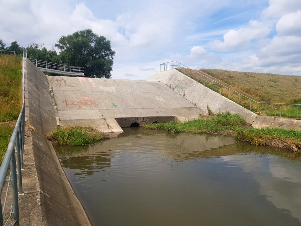 Polder Krzanowice (26)