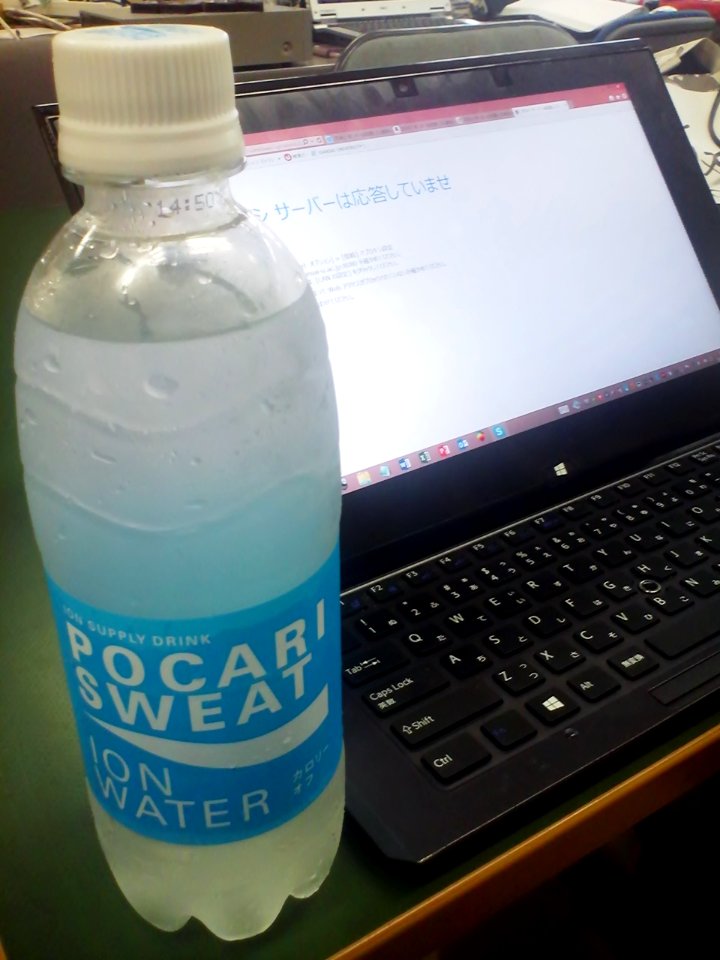 POCARI SWEAT ION WATER & VAIO Duo 11