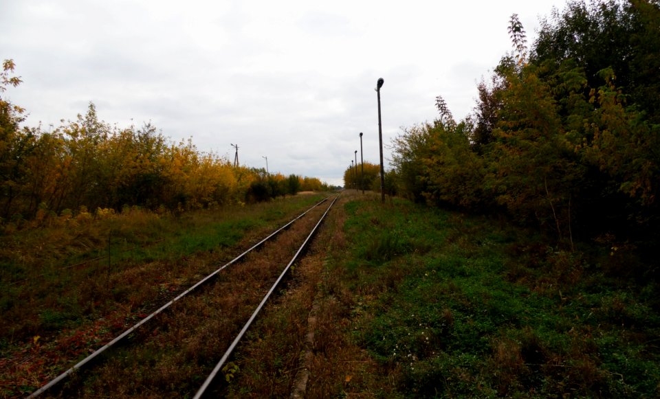 PODNIEŚNO gm.Suchożebry, AB-003