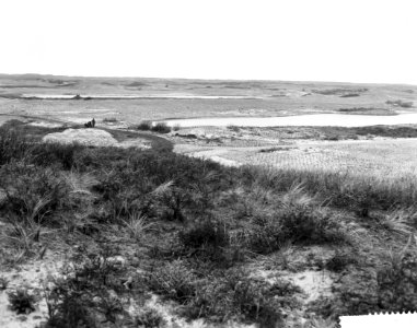 Persrondgang langs duinwatertuinplaats in de Amsterdamse Waterleidingduinen, Bestanddeelnr 912-3719