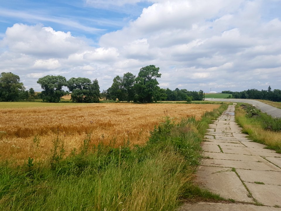 Polder Krzanowice (28)