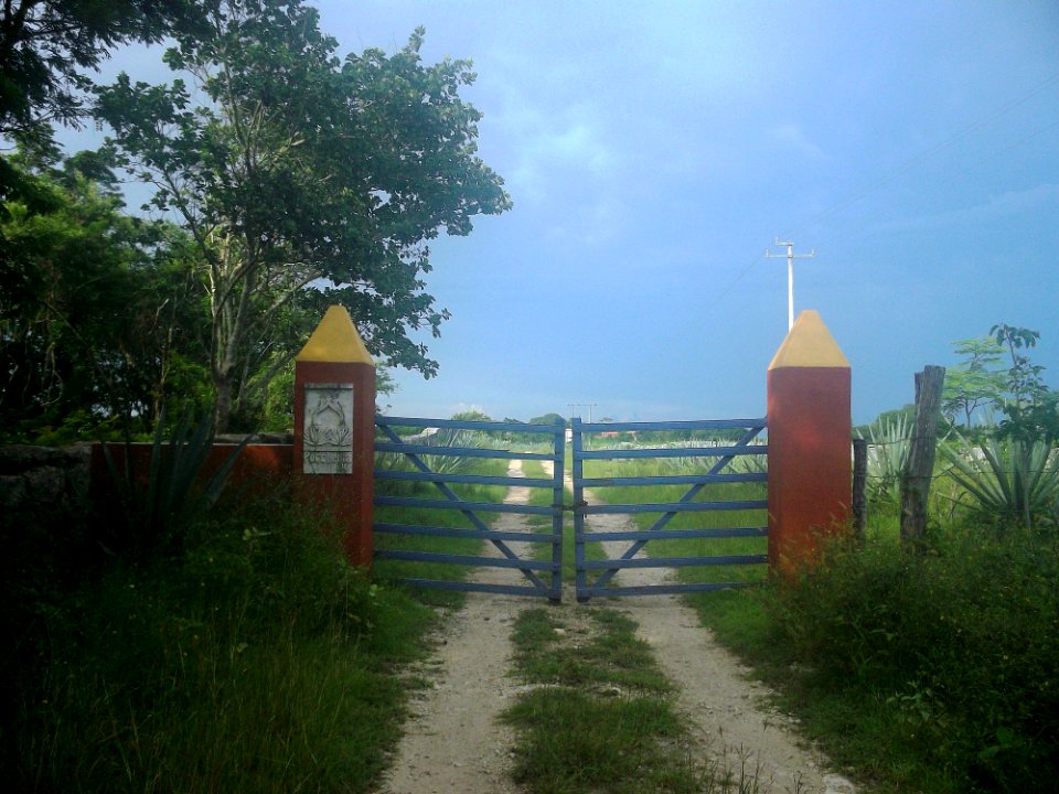 Poccheiná, Yucatán (01)
