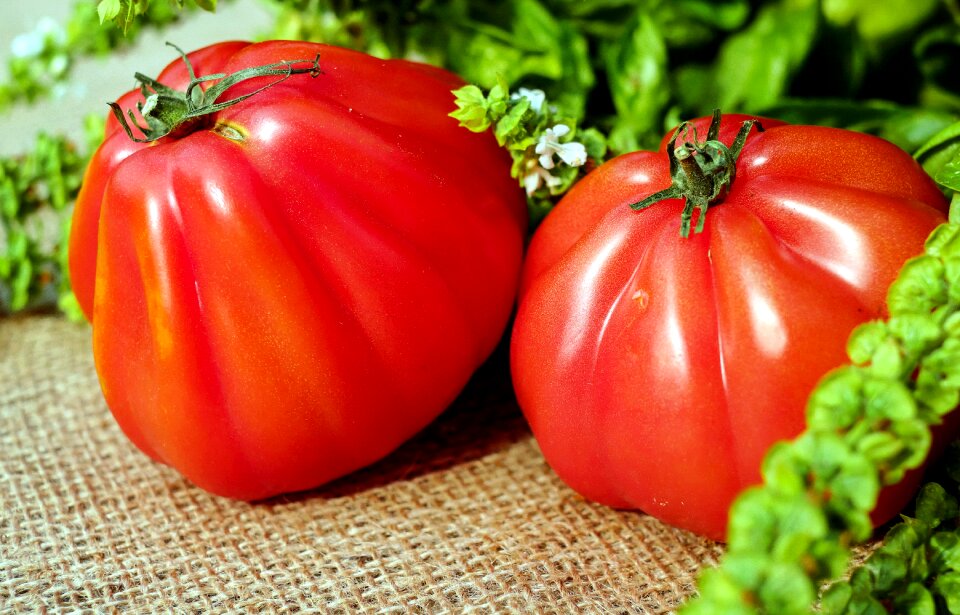 Food vegetarian healthy