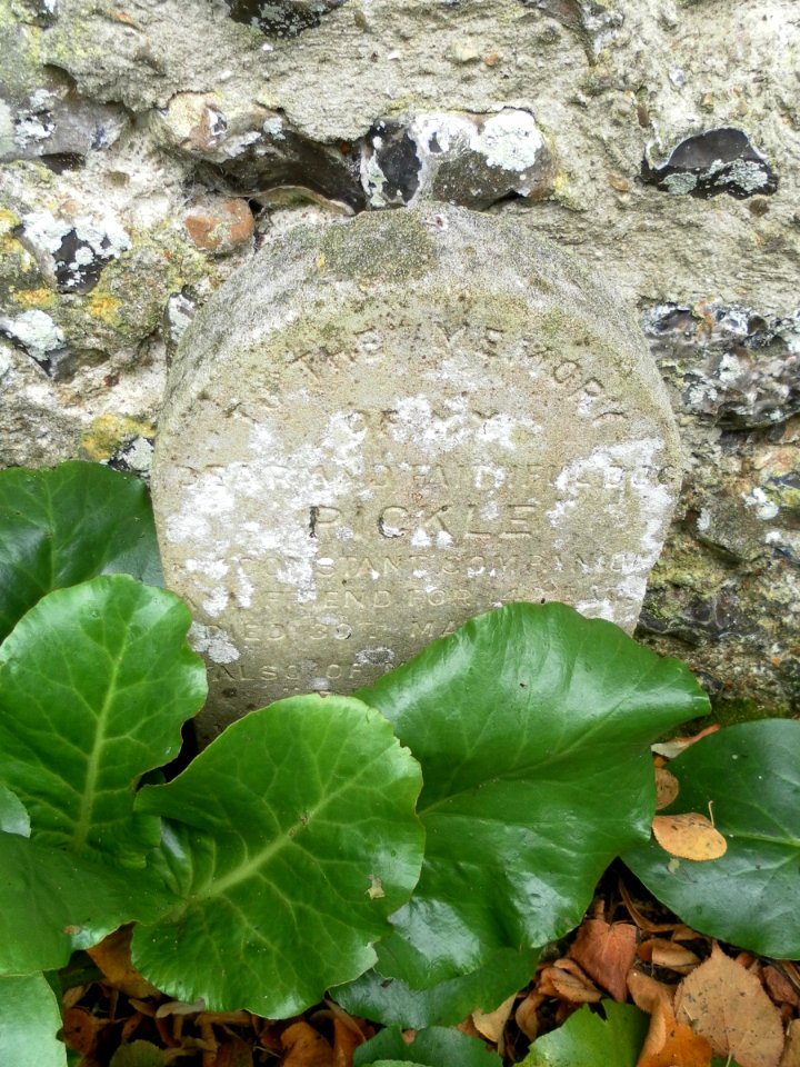 Pet Cemetery in Preston Manor Gardens, Preston Drove, Preston Village, Brighton (September 2011) (1)